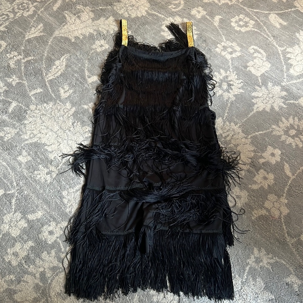 👗 Euc women’s small Taylor Swift era concert dress fringe costume Halloween